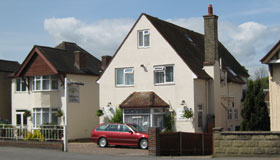 Mulberry